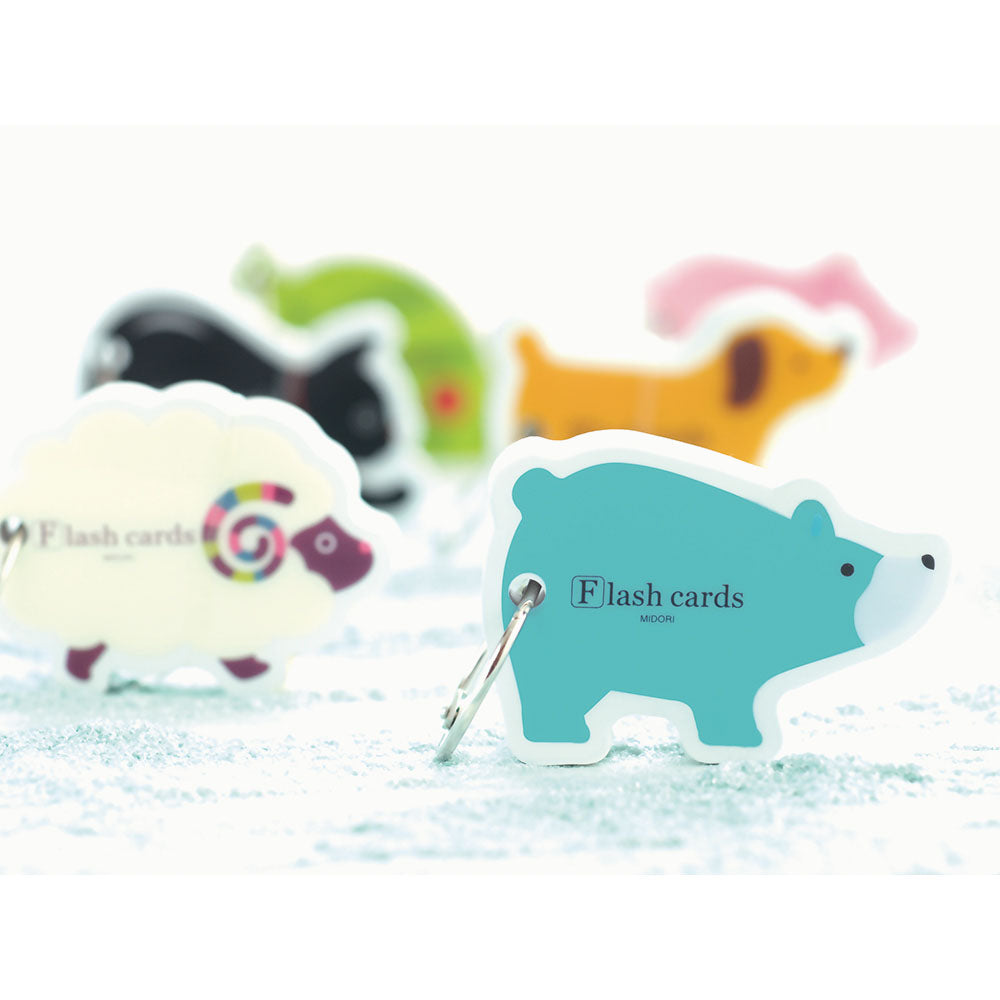 Flash Card, Canard