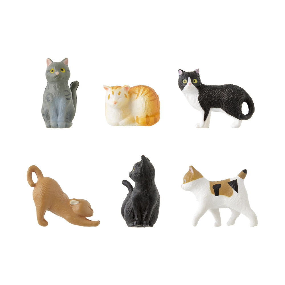 Mini Magnet Chats 6 pcs