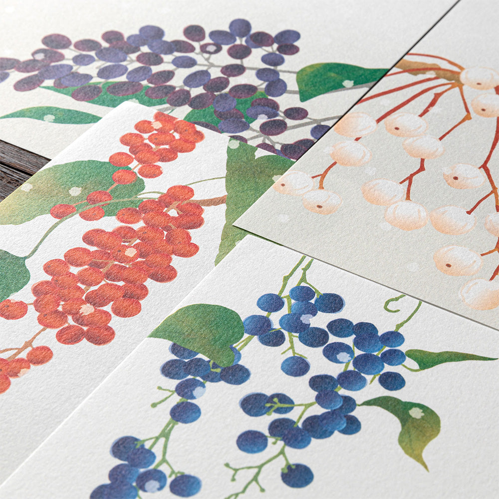 Papier à Lettres, Fruits d'hiver