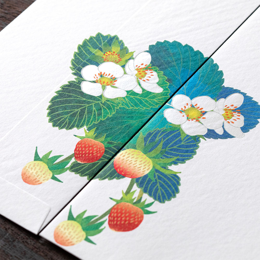 Enveloppes, Fraisier