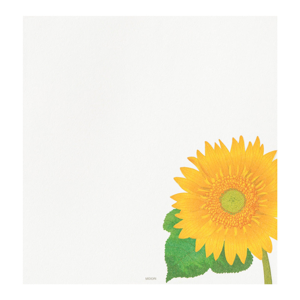 Papier à Lettres, Tournesol