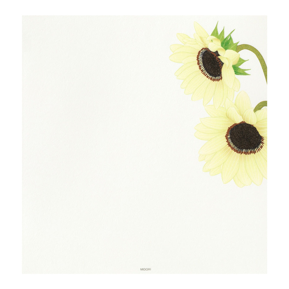 Papier à Lettres, Tournesol
