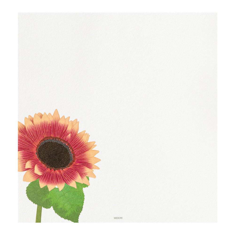 Papier à Lettres, Tournesol