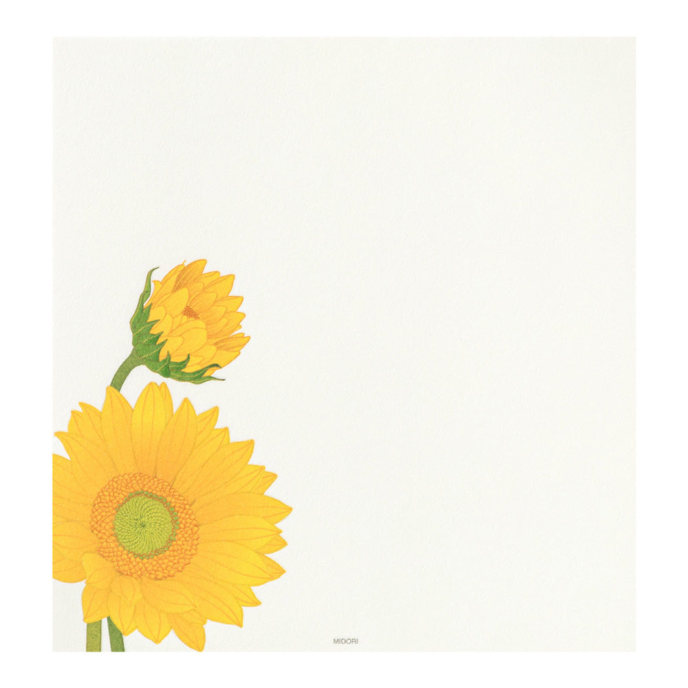 Papier à Lettres, Tournesol
