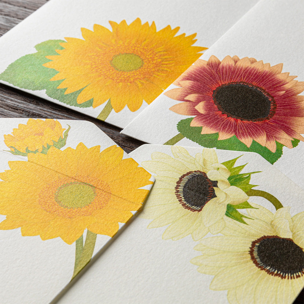 Enveloppes, Tournesols
