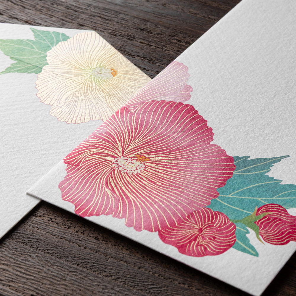 Enveloppes, Hibiscus