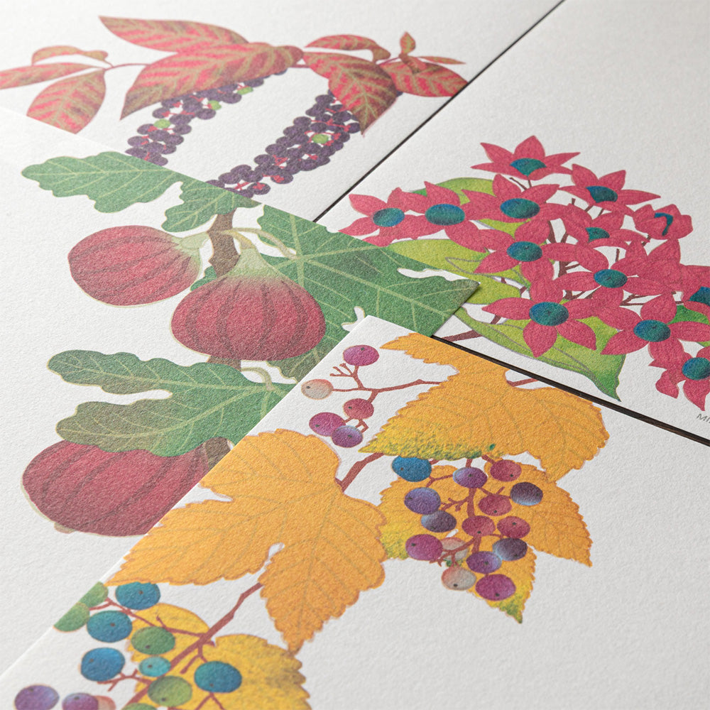 Papier à Lettres, Fruits d'Automne