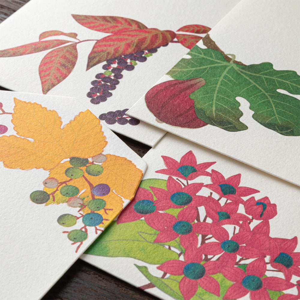 Enveloppes, Fruits d'Automne