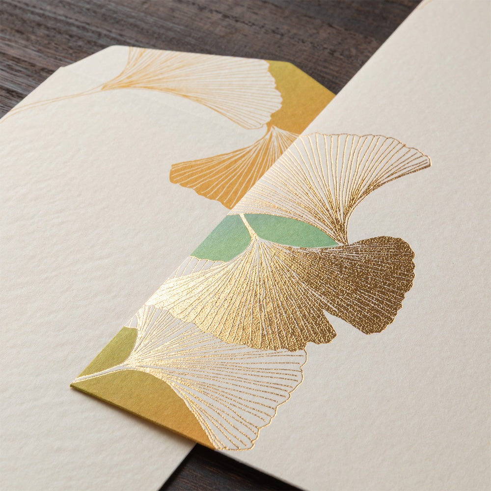 Enveloppes, Ginkgo