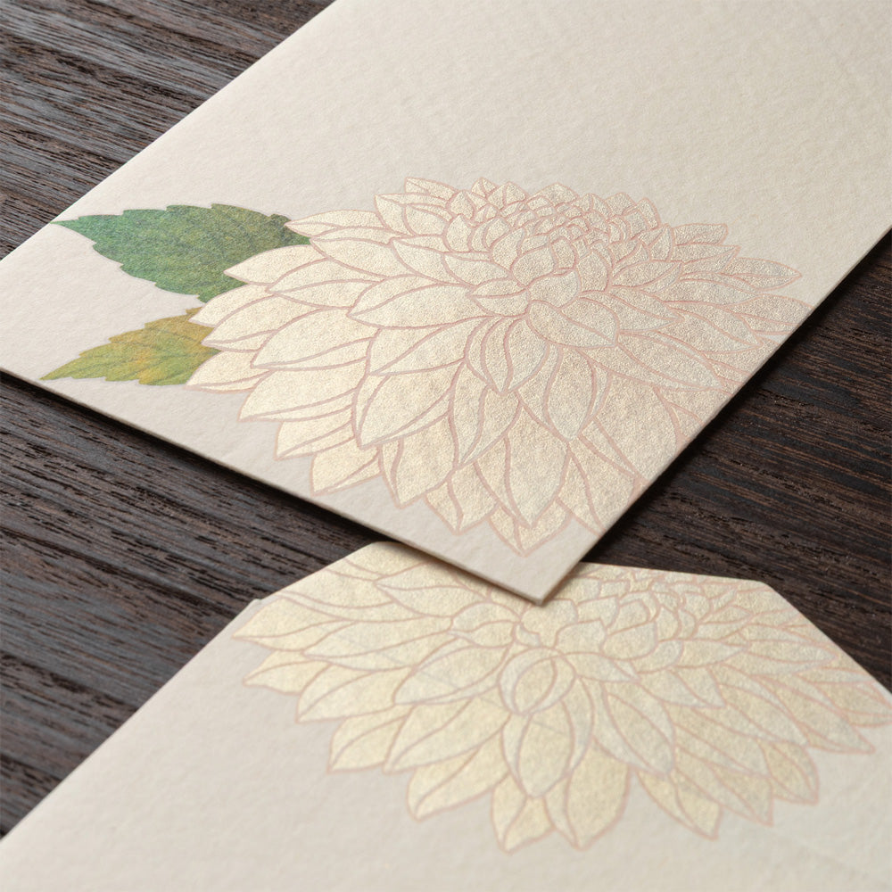 Enveloppes, Dahlia