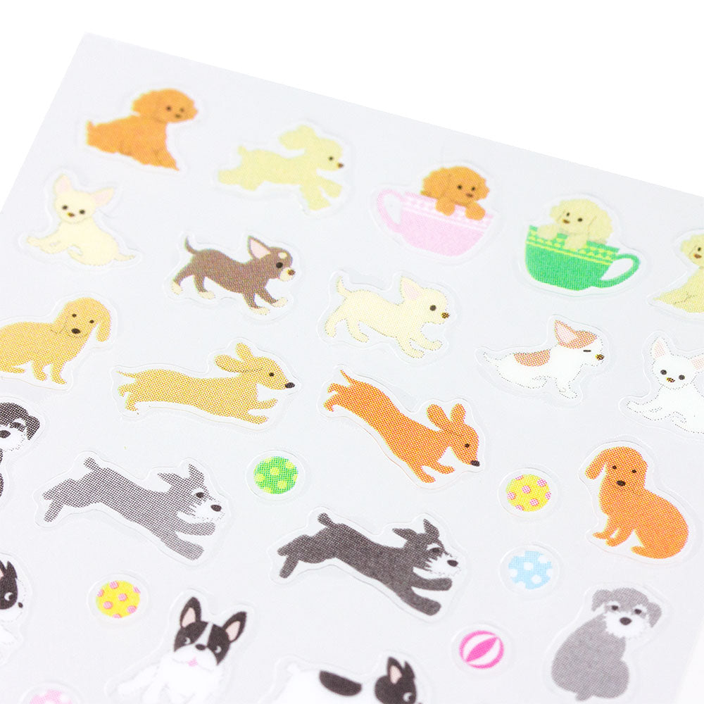 Seal Collection, Chien