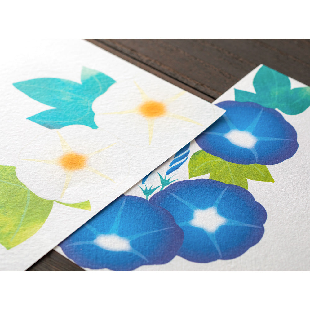Papier à Lettres, Gloire du matin bleu