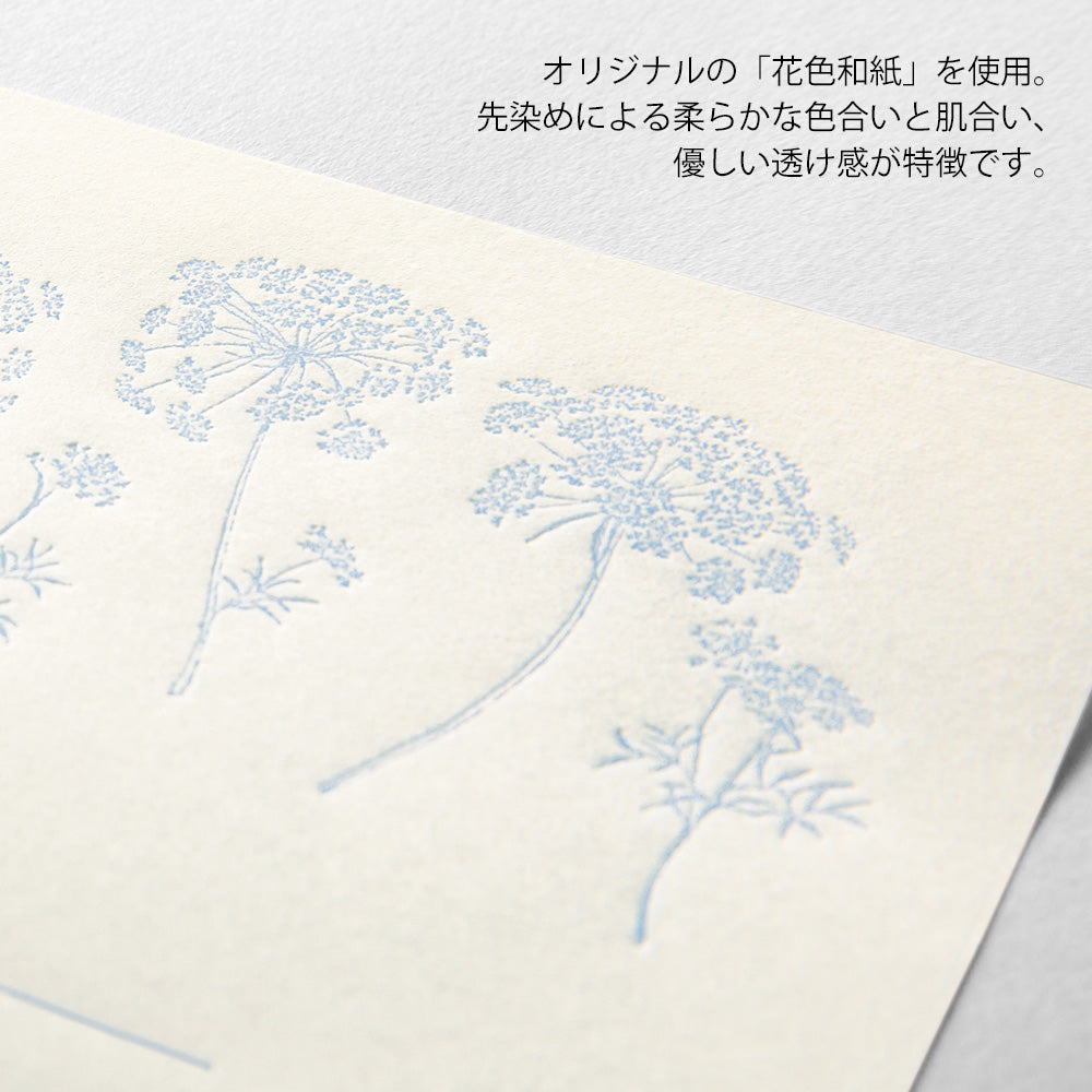 Letter Set Washi Hanairo Blanc