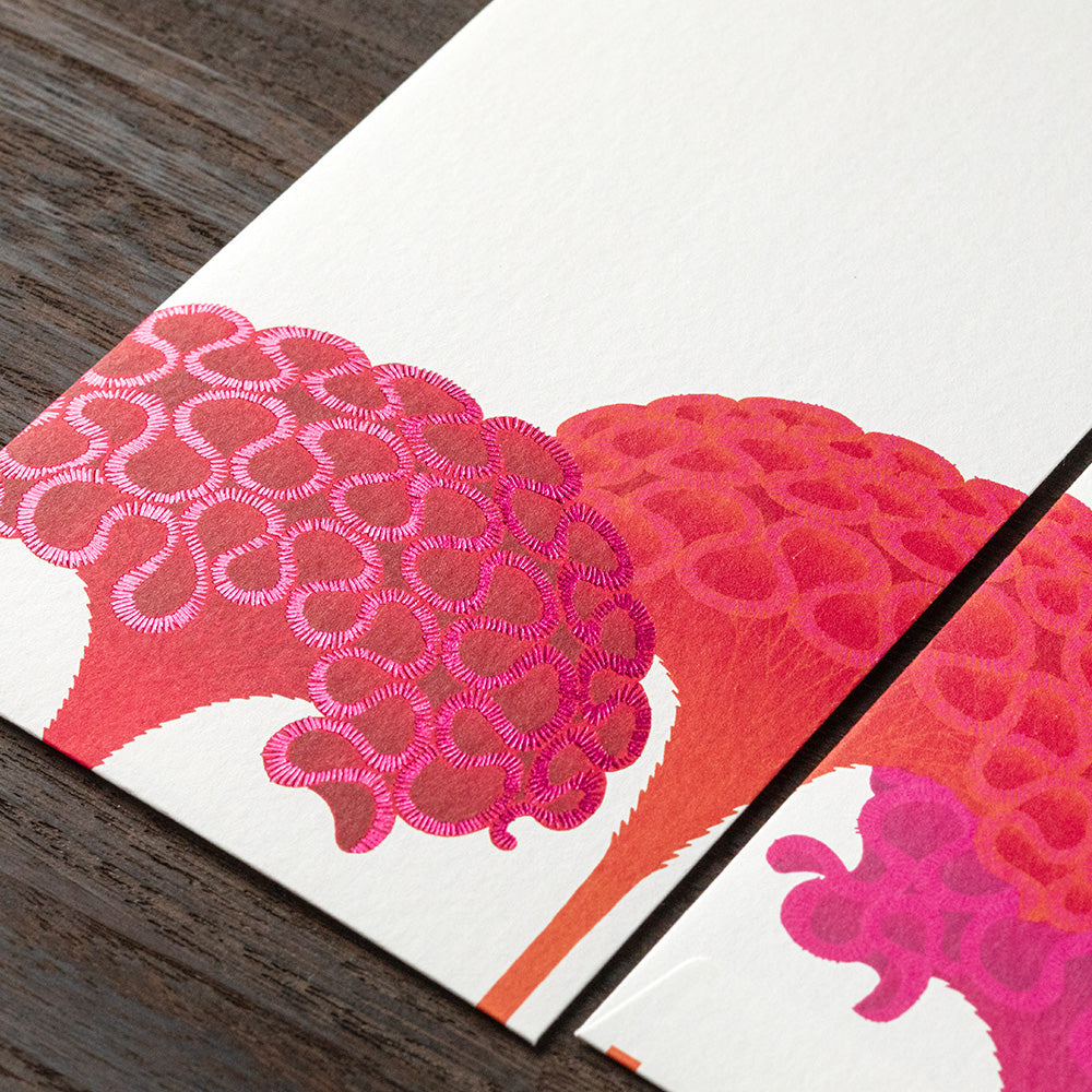 Enveloppes, Célosia