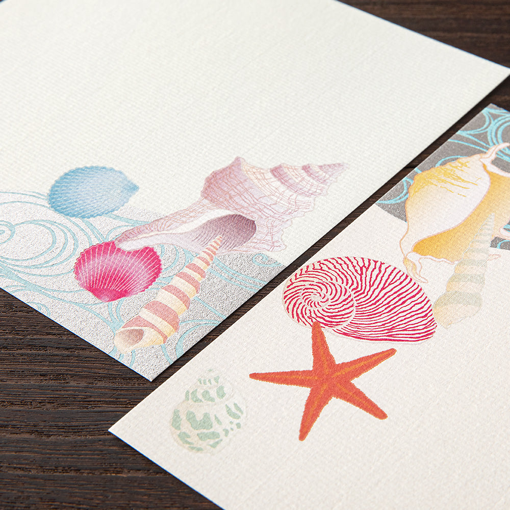 Papier à Lettres, Coquillages