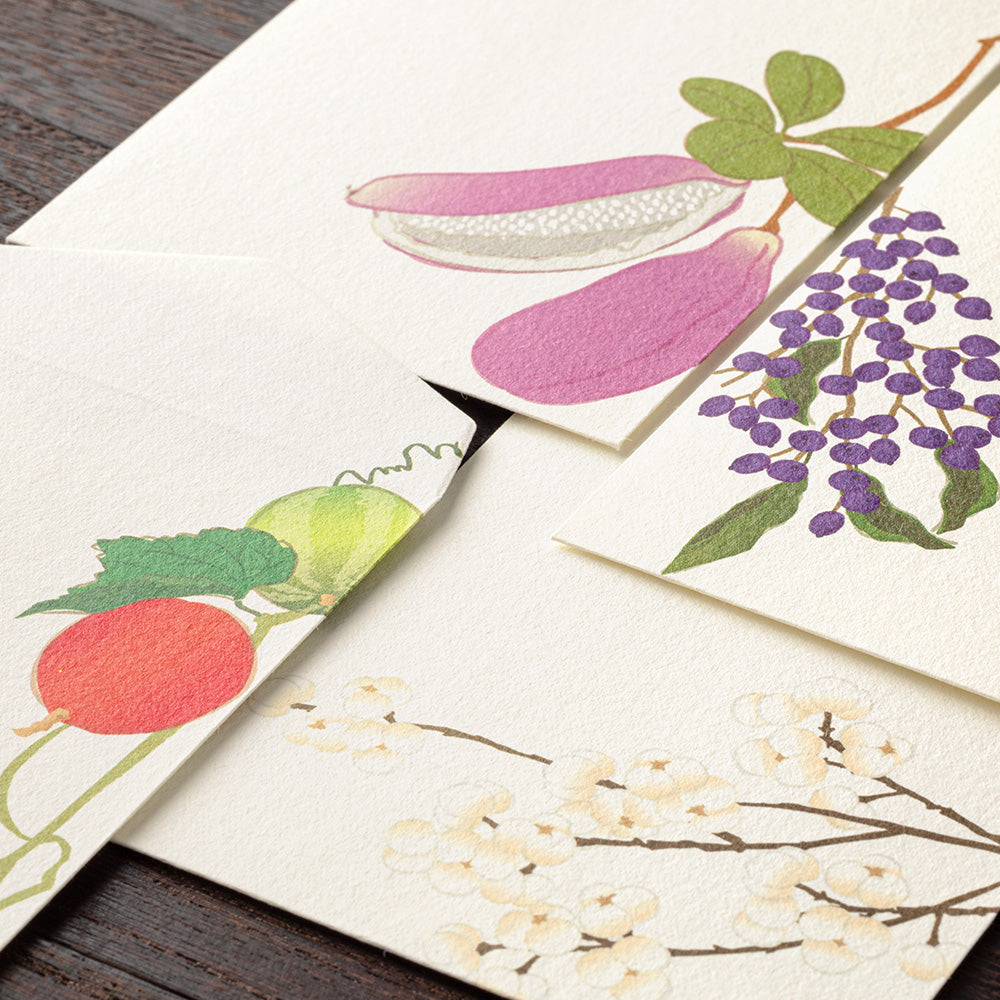 Enveloppes, Baies d'automne