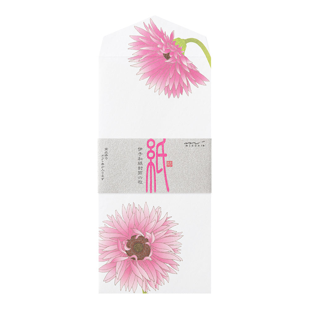 Enveloppes, Gerbera