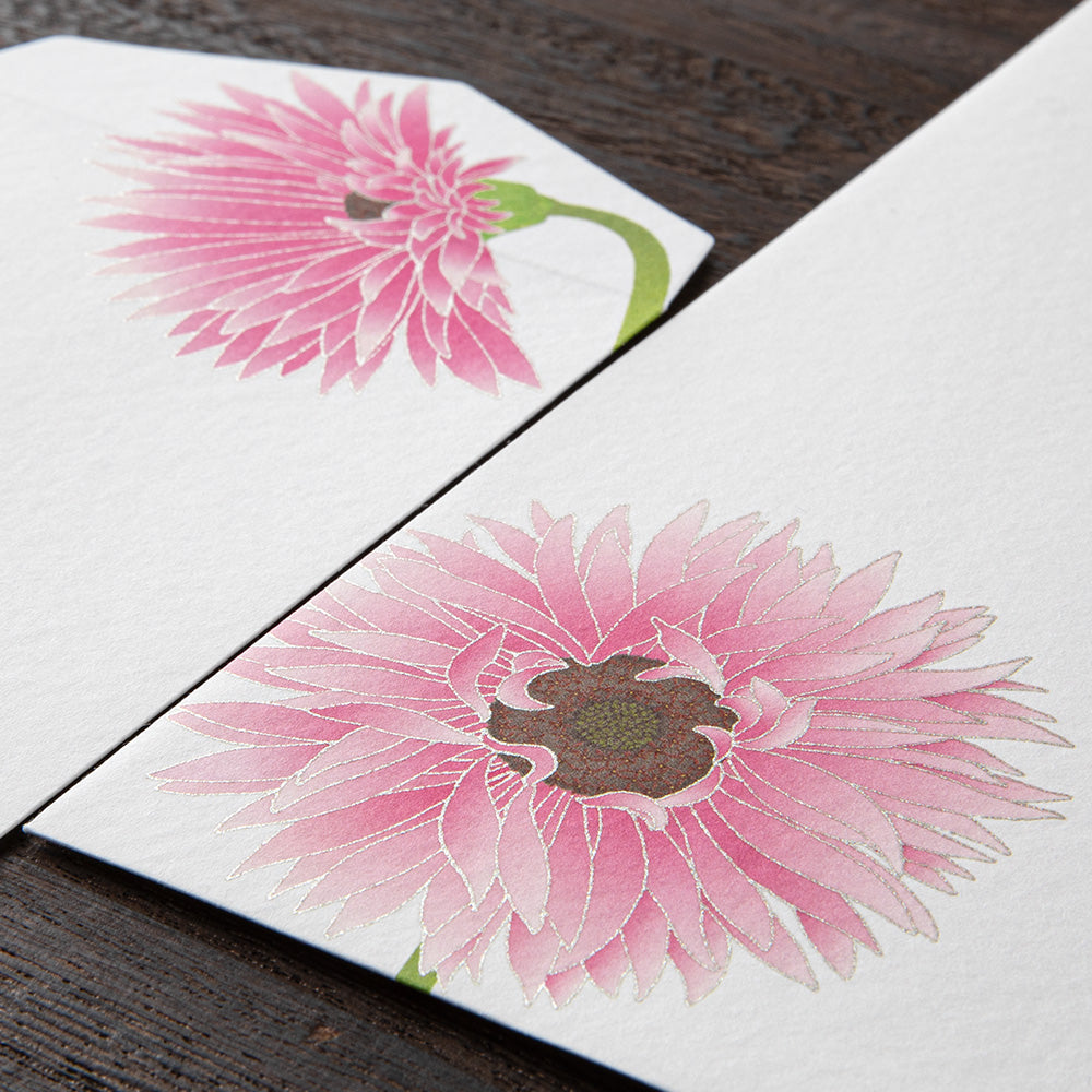Enveloppes, Gerbera