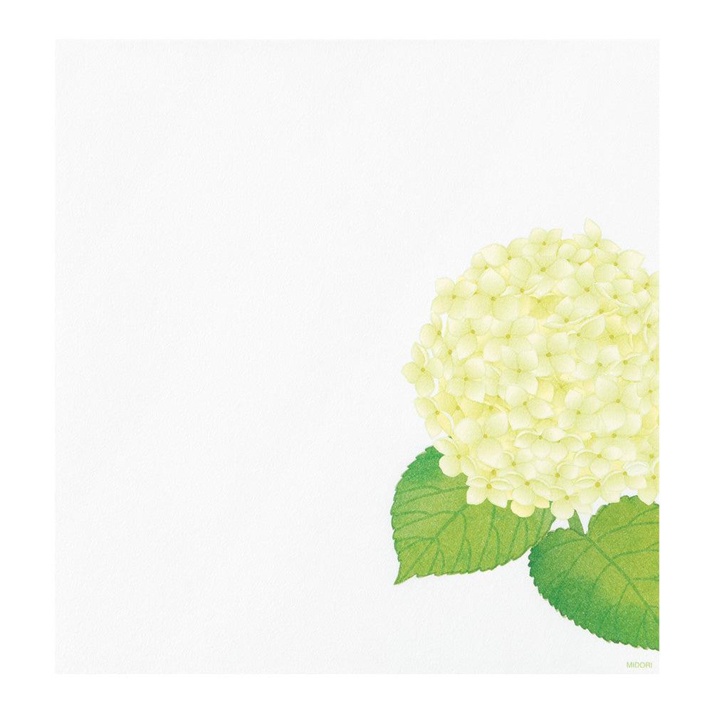 Papier à Lettres, Hortensia