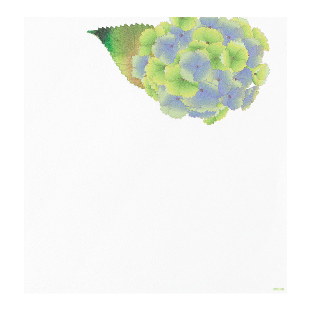 Papier à Lettres, Hortensia