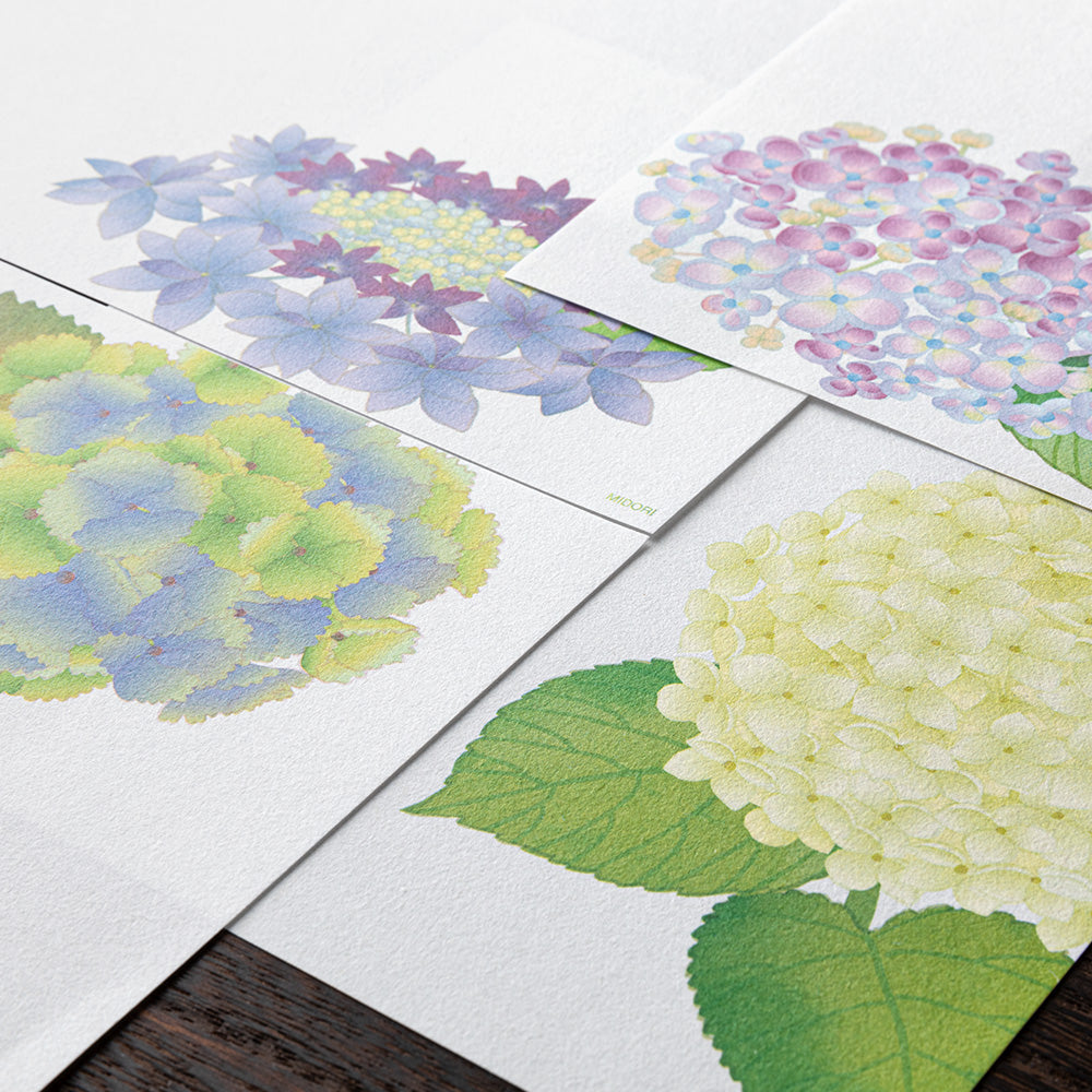 Papier à Lettres, Hortensia