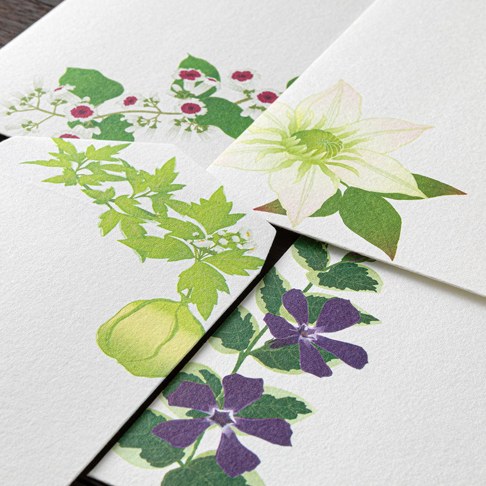 Enveloppes, Fleurs d'été
