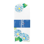 Enveloppes, Morning Glory