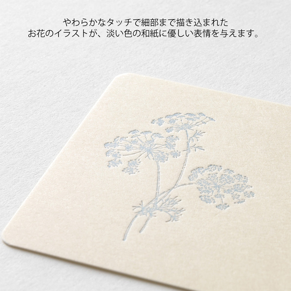 Letter Carte visite Hanairo Blanc