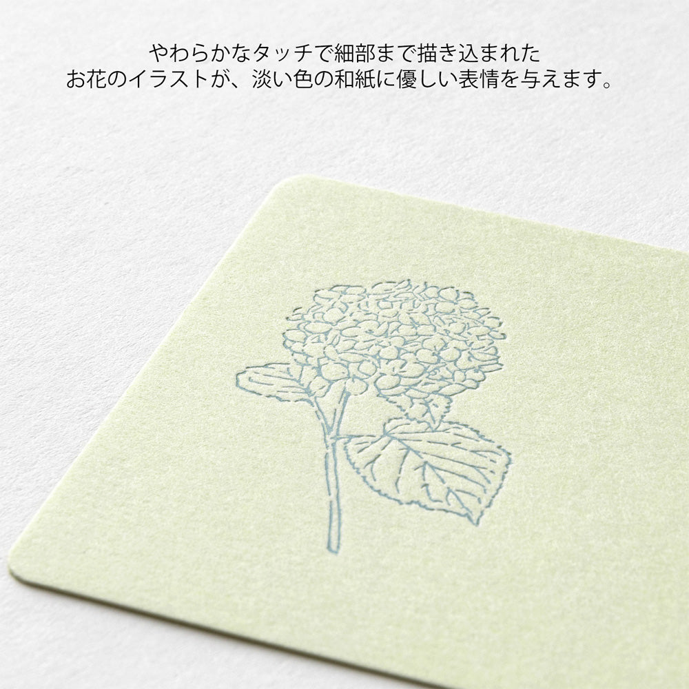 Letter Carte visite Hanairo Vert