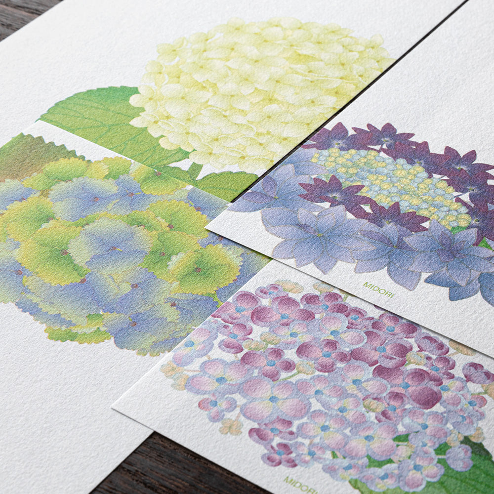 Papier à Lettres petit format, Hortensia