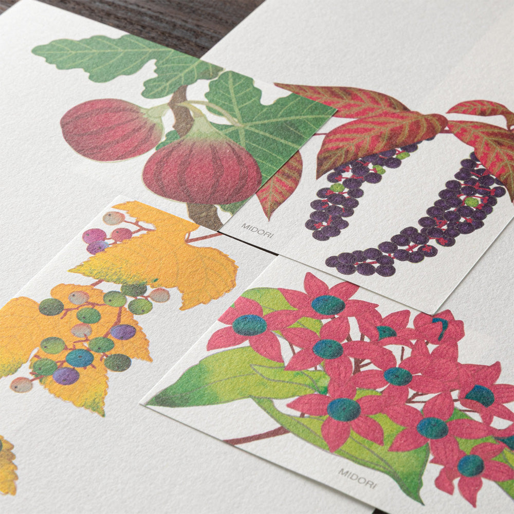 Papier à Lettres petit format, Fruits d'Automne