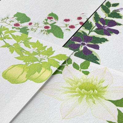 Collection Éphémère Été N°2