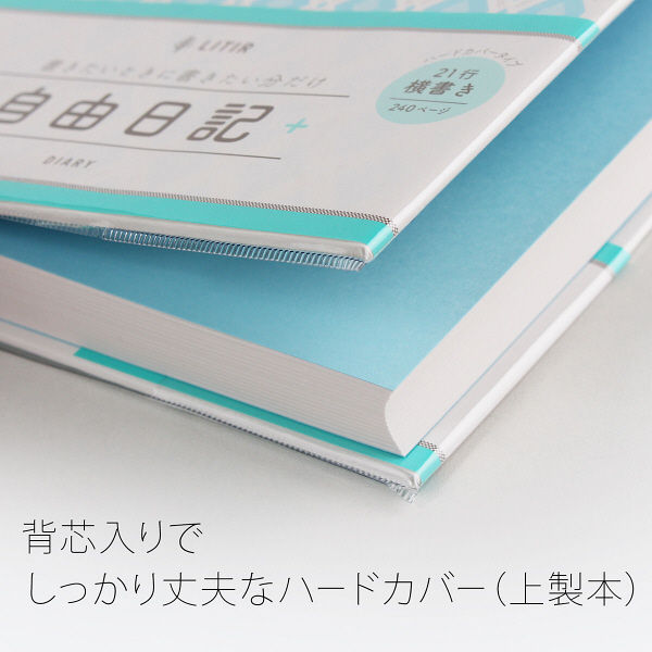 NT Notebook D117, Bleu