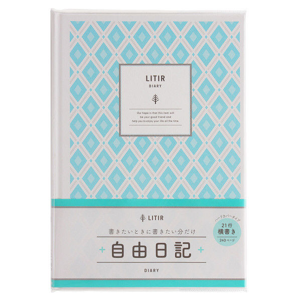 NT Notebook D117, Bleu