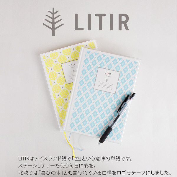 NT Notebook D117, Bleu