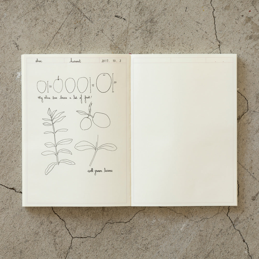 MD Notebook A5, Journal Papier