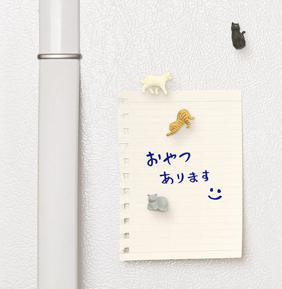 Magnet