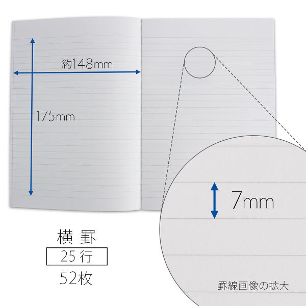 NT Notebook NT52, Bleu