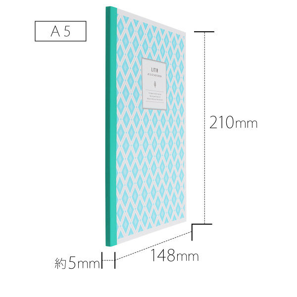 NT Notebook NT52, Bleu